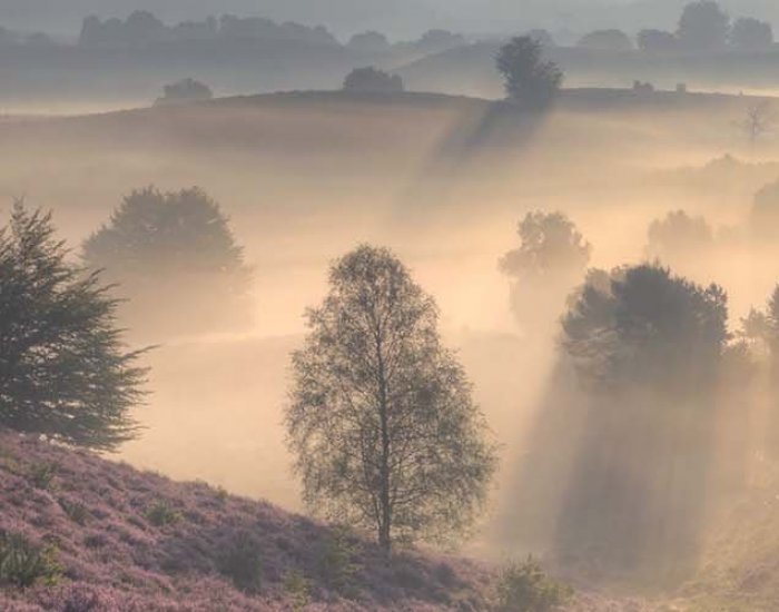 Online Fotografie Cursus: niet meer op de automatische stand Online Fotografie Cursus: niet meer op de automatische stand