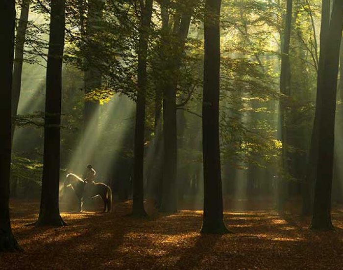 Vervolgcursus Fotografie Geldermalsen Culemborg Tiel Den Bosch Cursus Fotografie Geldermalsen Culemborg Tiel Den Bosch