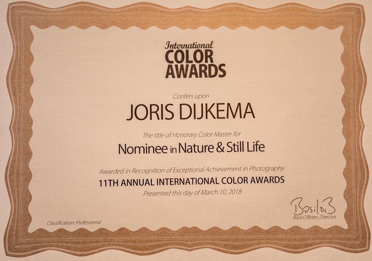 Prijswinnende foto's Joris Dijkema Color Awards Prijswinnende foto's Joris Dijkema Color Awards