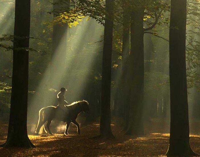 Cursus fotografie Geldermalsen Culemborg Zaltbommel Tiel Fotografiecursus Geldermalsen Culemborg Zaltbommel Tiel