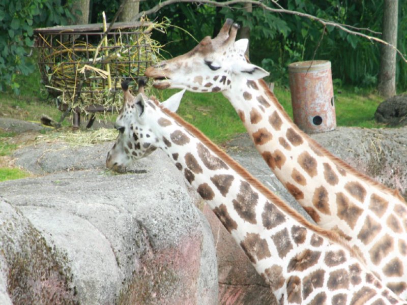 Gaia Zoo Parkstad Limburg