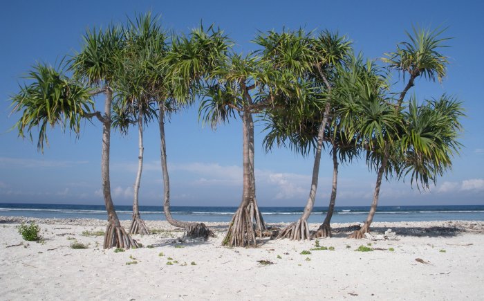 Strand in Indonesië Gili eilanden