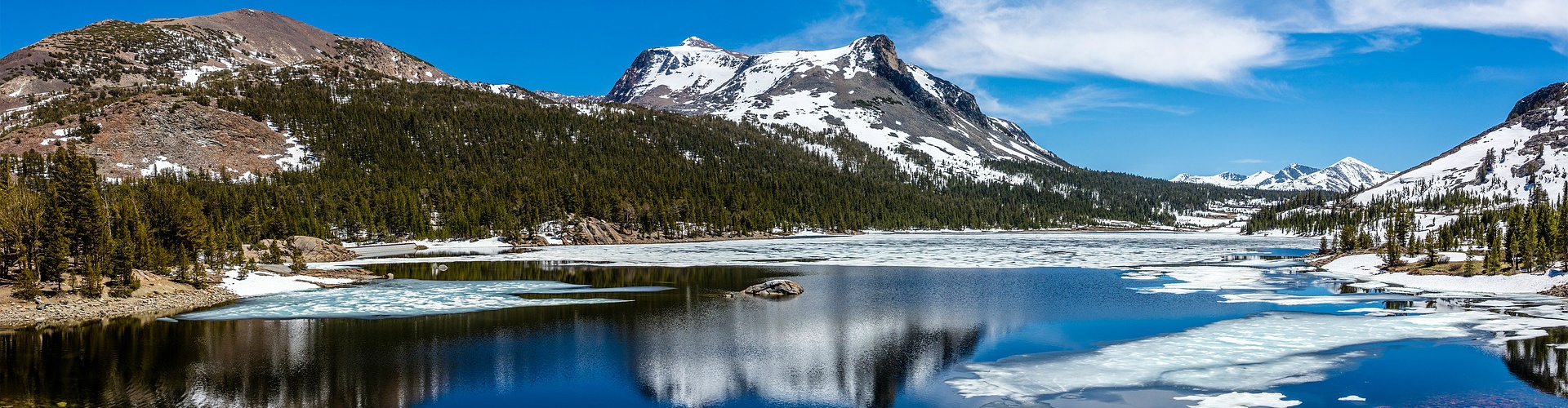 Amerika met kinderen Amerika met kinderen