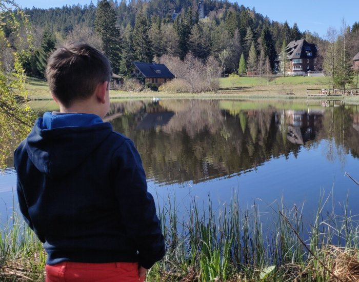 Omgeving Ferienhaus Waldwiese Omgeving Ferienhaus Waldwiese