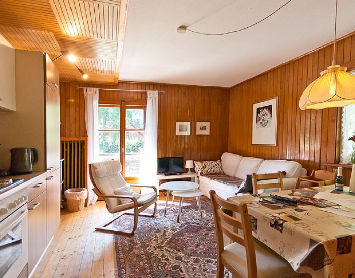 Vakantiehuis Zwarte Woud met kinderen Vakantiehuis Zwarte Woud met kinderen