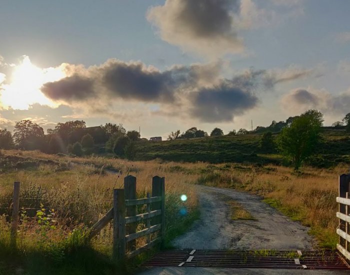 Cottage zonder WiFi in Wales Cottage zonder WiFi in Wales