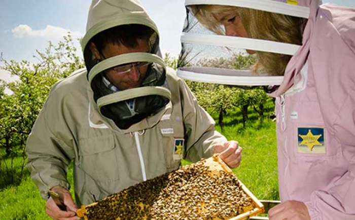 imkers van la reine dorien en jeroen imkers van la reine dorien en jeroen