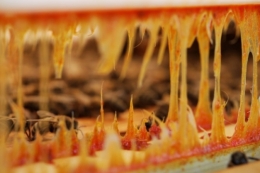 propolis natuurproduct bijen