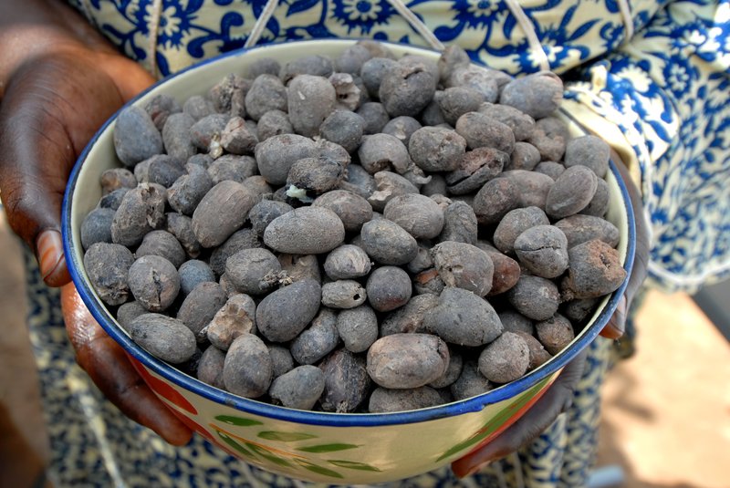 sheabutter-kariteboter-noot sheabutter-kariteboter-noot