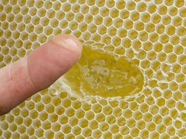 honing-natuurlijk-ingredient