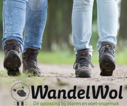 wandelwol antidruk 10g wandelwol antidruk 10g