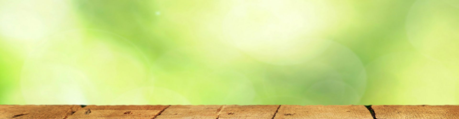 Hét tuinvakblad De GroenGlossy Het tuinvakblad de GroenGlossy