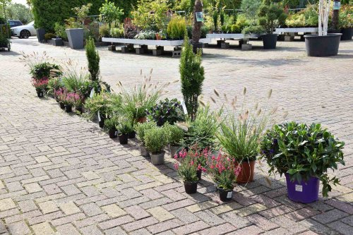 Beplantingsplan alle-planten-van-een-beplantingsplan-staan-klaar