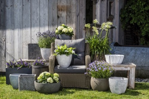 Bloempot kopen Wijchen? potten-kopen-wijchen