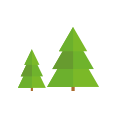 Soorten en maten kerstbomen