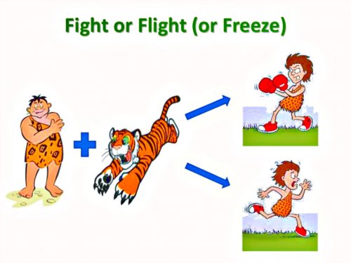 3- Presentation Power Training. Over Je Presentatie.