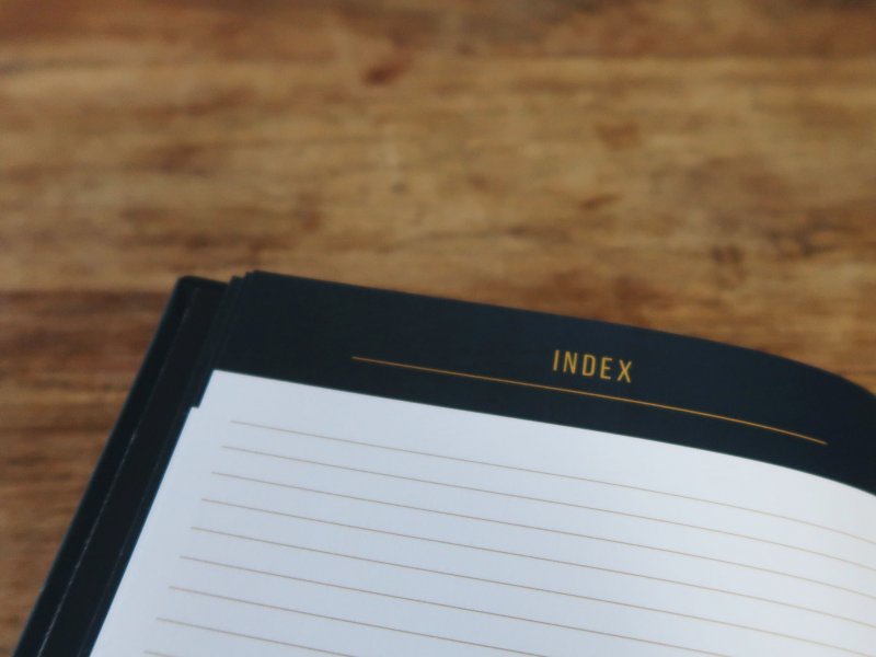 Journal Lifestyle Of Business index Duidelijk index/structuur LSOB Journal