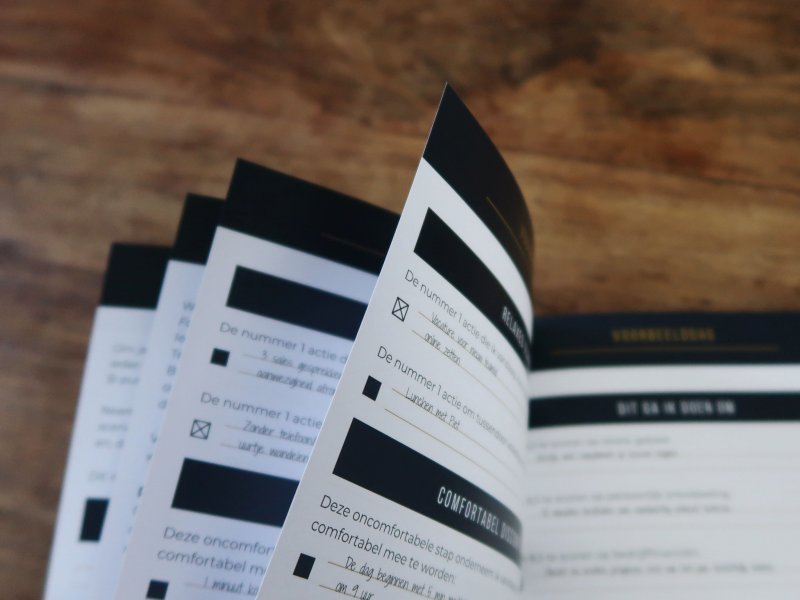 Success Forecast Lifestyle Of Business pagina's Stevige pagina's Success Forecast