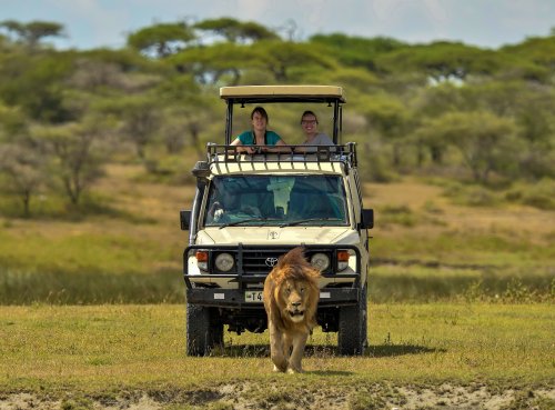 Tanzania Safari Makasa