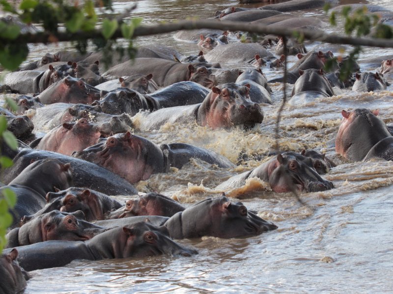 Honeymoon Tanzania Honeymoon Tanzania