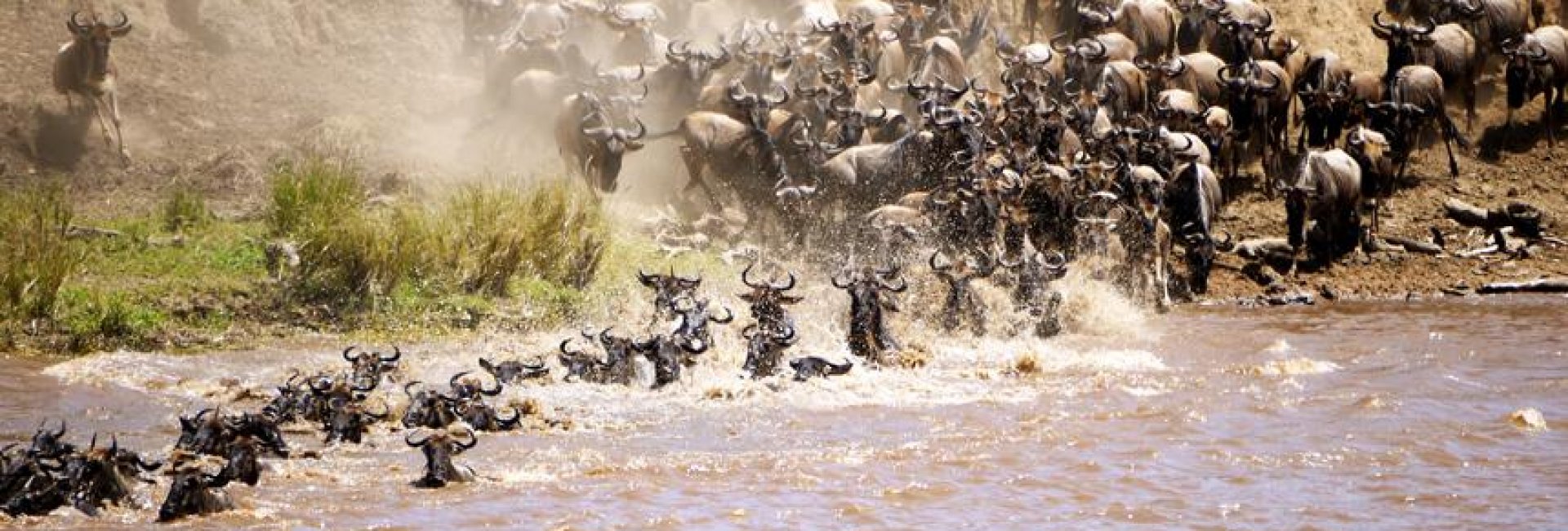 Tanzania Great Migration Tanzania Great Migration