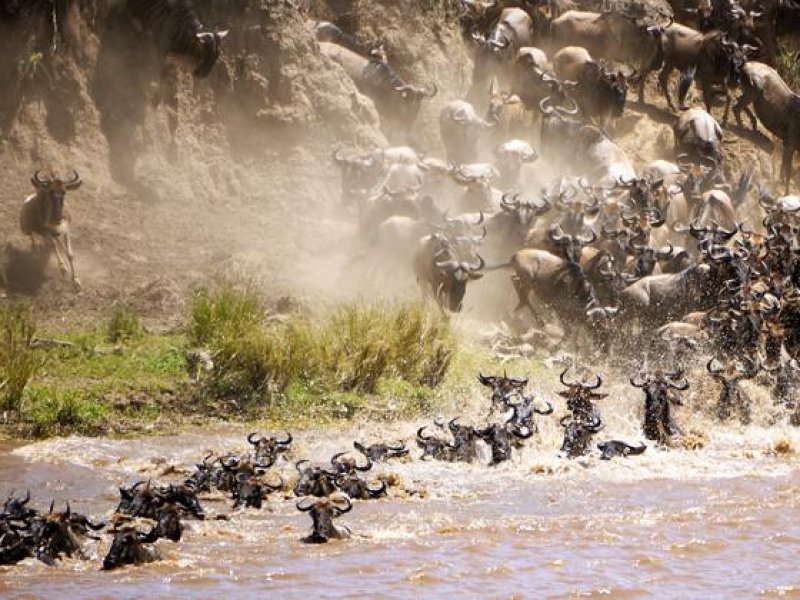 Tanzania Great Migration Tanzania Great Migration