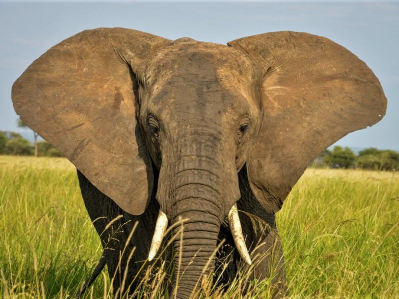 Tanzania Safari and Zanzibar holiday Tanzania Safari and Zanzibar holiday