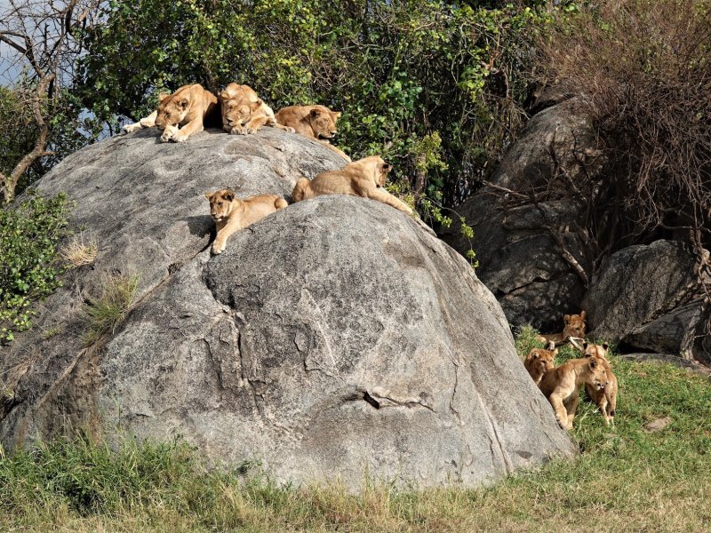 Honeymoon Tanzania Honeymoon Tanzania