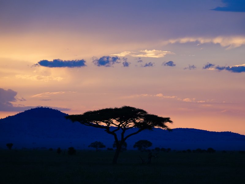 Honeymoon Tanzania Sunset