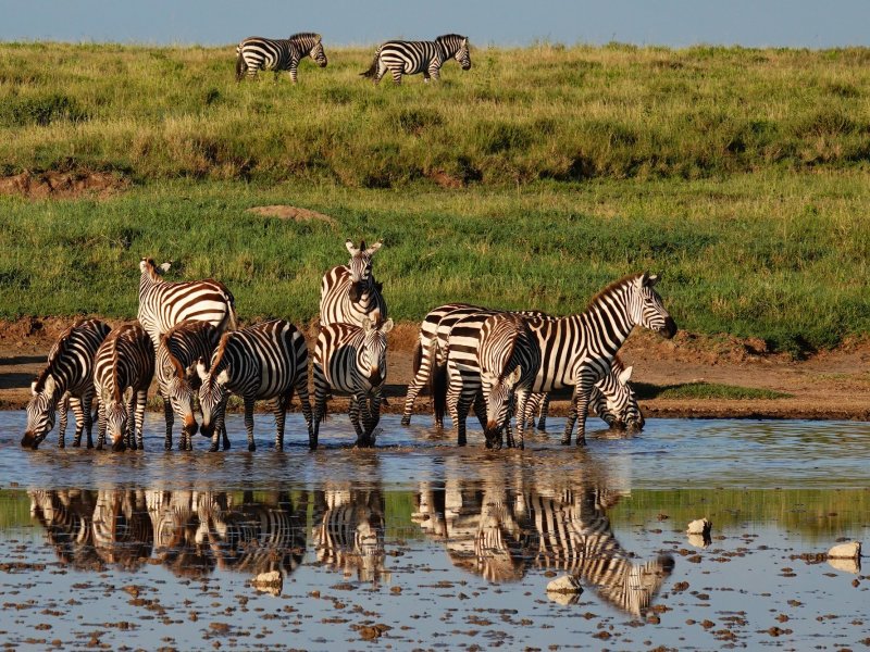 Honeymoon Tanzania Honeymoon Tanzania