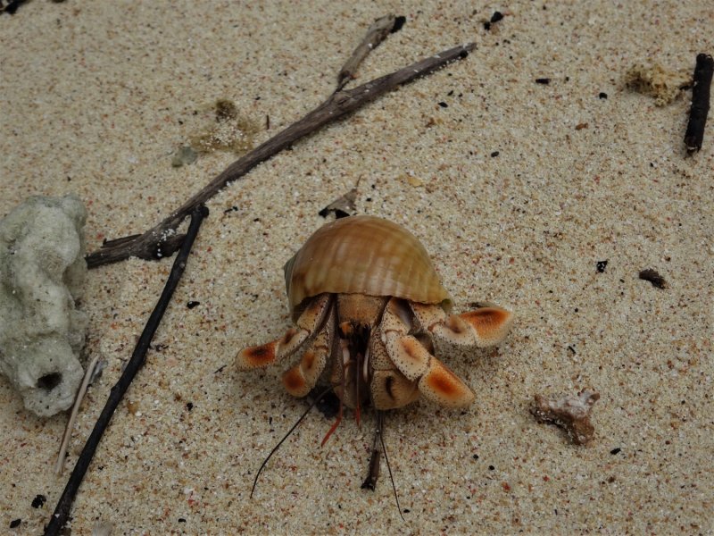 Zanzibar Holiday Stone Town Zanzibar Holiday Stone Town