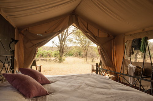 Tented Camp Serengeti Tanzania
