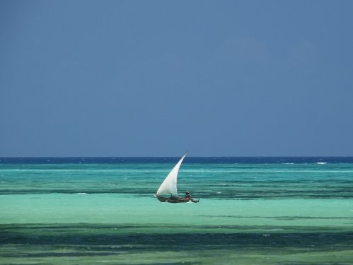 Zanzibar Sandbank tour Zanzibar Sandbank tour
