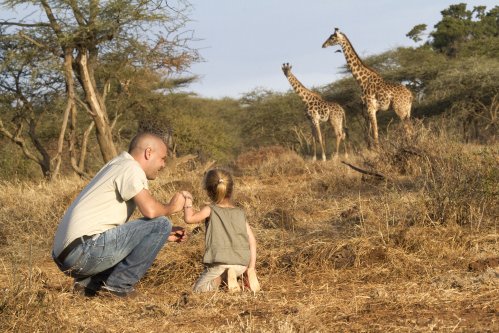 Child friendly safari