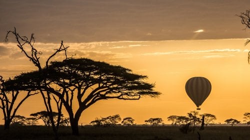 Serengeti Balloon Honeymoon Tanzania