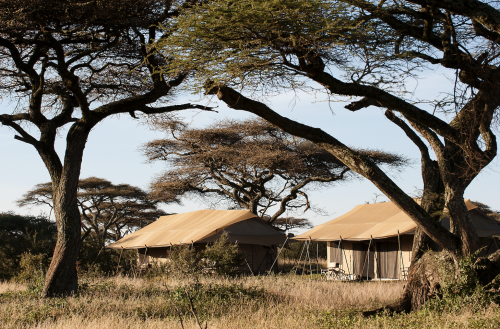 Tented Camp Safari Tanzania