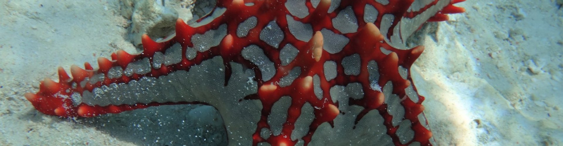 Zanzibar Beach holiday Zanzibar Beach holiday