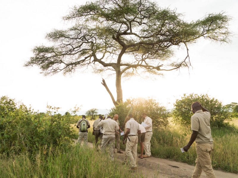 Safari Company Tanzania Makasa Guides
