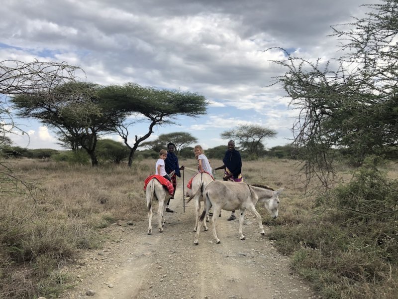 Safari Company Tanzania Makasa Tanzania Home Safari Company Tanzania Makasa Tanzania Home