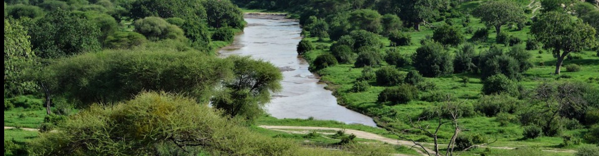 Tanzania Africa Tarangire Park Tanzania Africa Tarangire Park