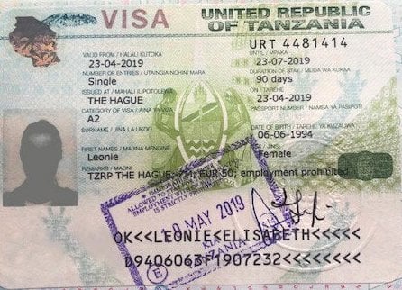 Do I need a visa for Tanzania Africa?
