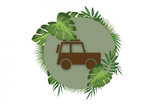 Private Jeep Safari Tanzania