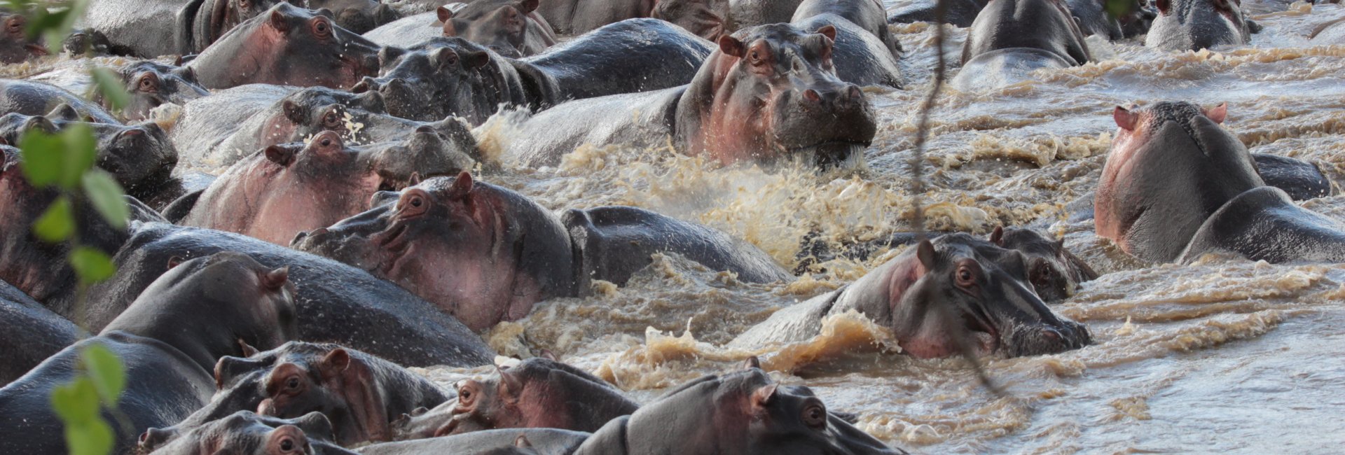 Bezienswaardigheden Tanzania