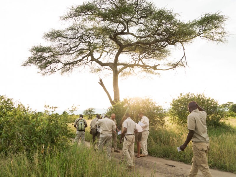 Safari reis Safari reis