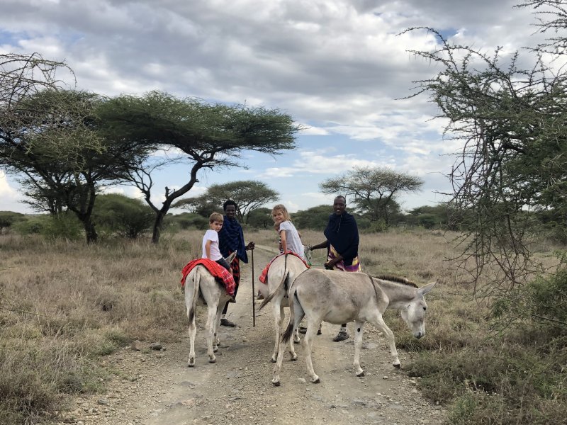 Reizen op ezels Reizen op ezels