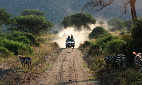 Tanzania Safari Vakantie