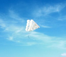 Reuzenvlieger in de lucht Onze reuze vlieger vliegt altijd!!