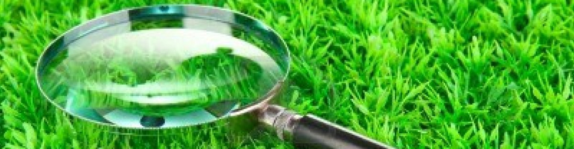 Menstruatie verzuim is onnodig Inzicht in menstruatie verzuim tijdens de cyclus