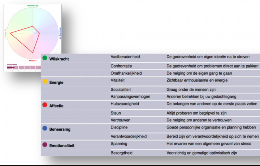 Big 5 factoren Big 5 factoren