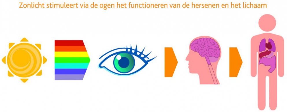 USB 315 en AqA 707 vitaliseren water met natuuridentieke energie zoals zonlichtfrequenties USB 315 en AqA 707 vitaliseren water met natuuridentieke energie zoals zonlichtfrequenties